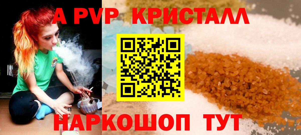 Альфа ПВП СК Дальнегорск